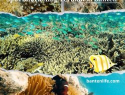 Rekomendasi Spot Snorkeling Terbaik di Banten