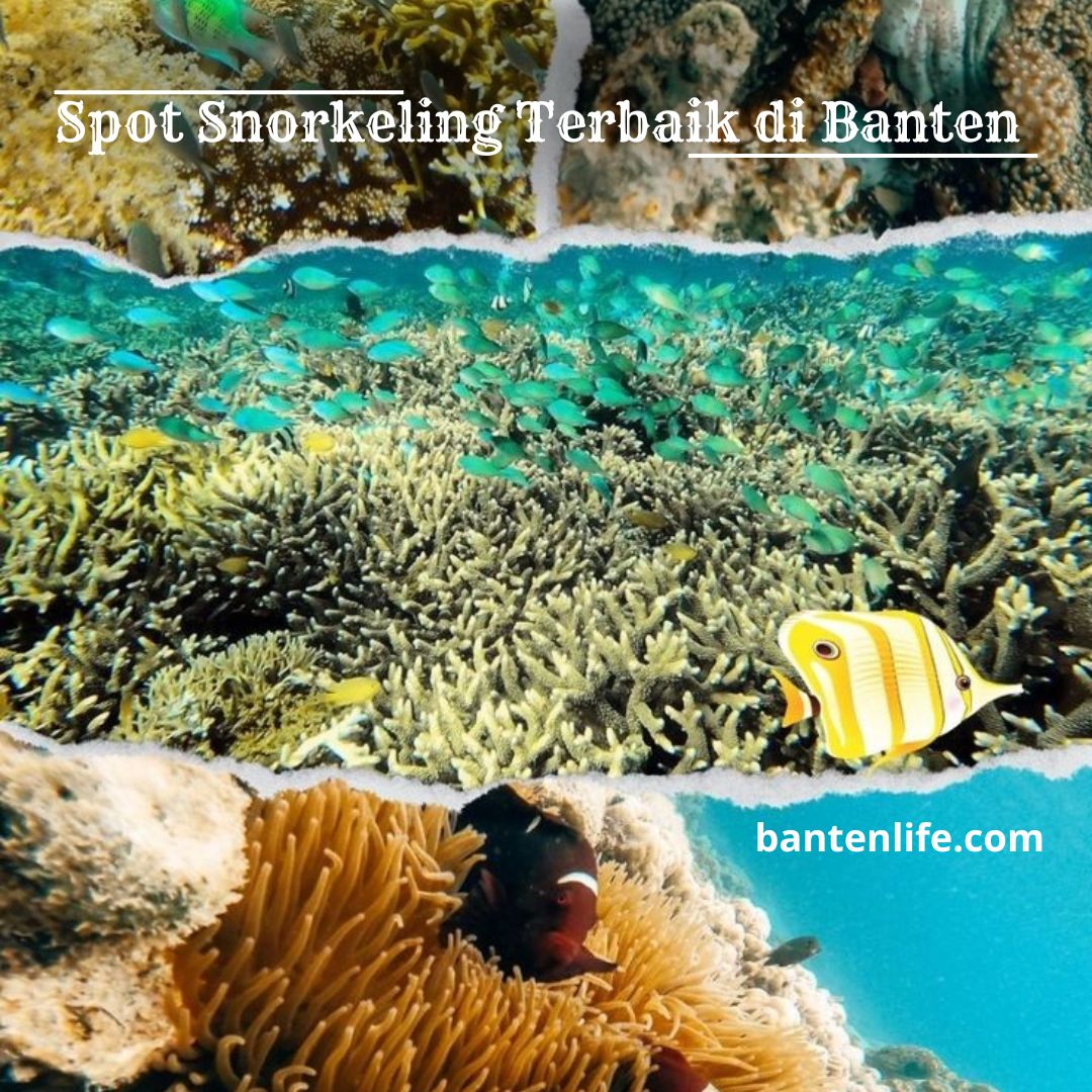 Spot Snorkeling Terbaik di Banten