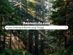 Hutan Lindung di Banten: Keindahan yang Terjaga