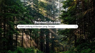 Hutan Lindung di Banten yang Terjaga