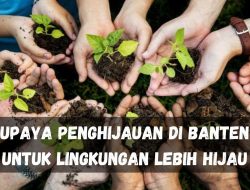 Upaya Penghijauan di Banten untuk Lingkungan Lebih Hijau