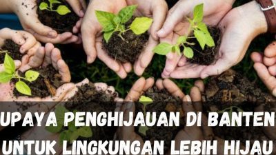 Upaya Penghijauan di Banten untuk Lingkungan Lebih Hijau