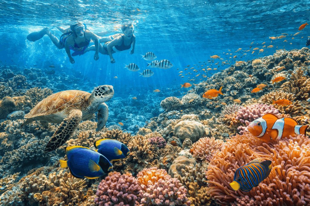 Eksplorasi Bawah Laut! Daftar Spot Snorkeling Terbaik Di Banten dengan Terumbu Karang Tercantik yang Masih Jarang Diketahui