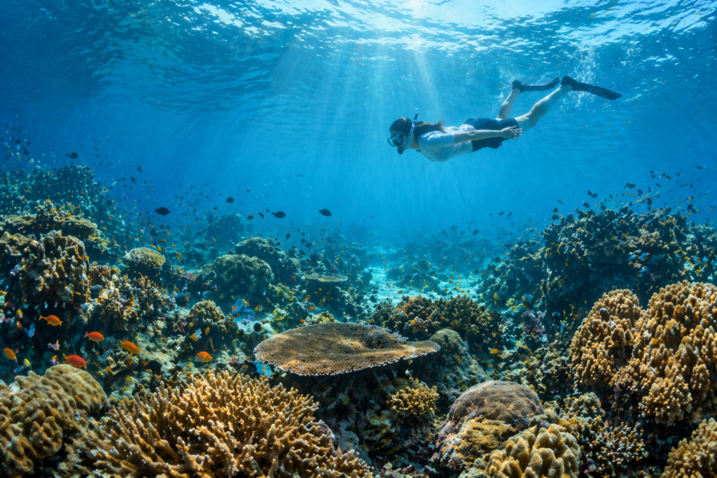 Spot Snorkeling Terbaik di Banten Rekomendasi Destinasi Laut Indah Favorit Wisatawan